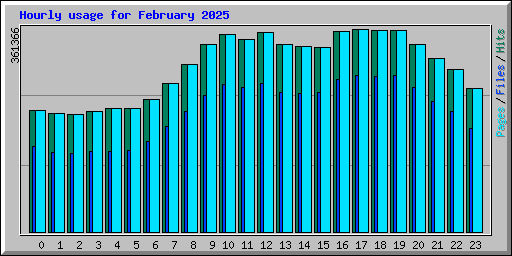 Hourly usage for February 2025