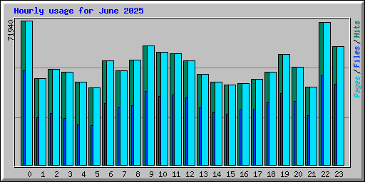 Hourly usage for June 2025